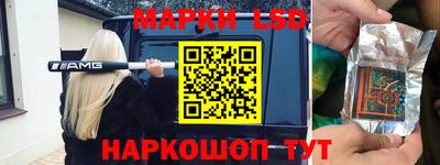 хмурый Кингисепп