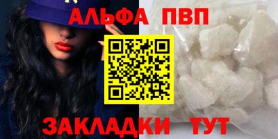 хмурый Кингисепп