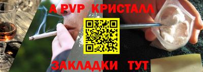 хмурый Кингисепп