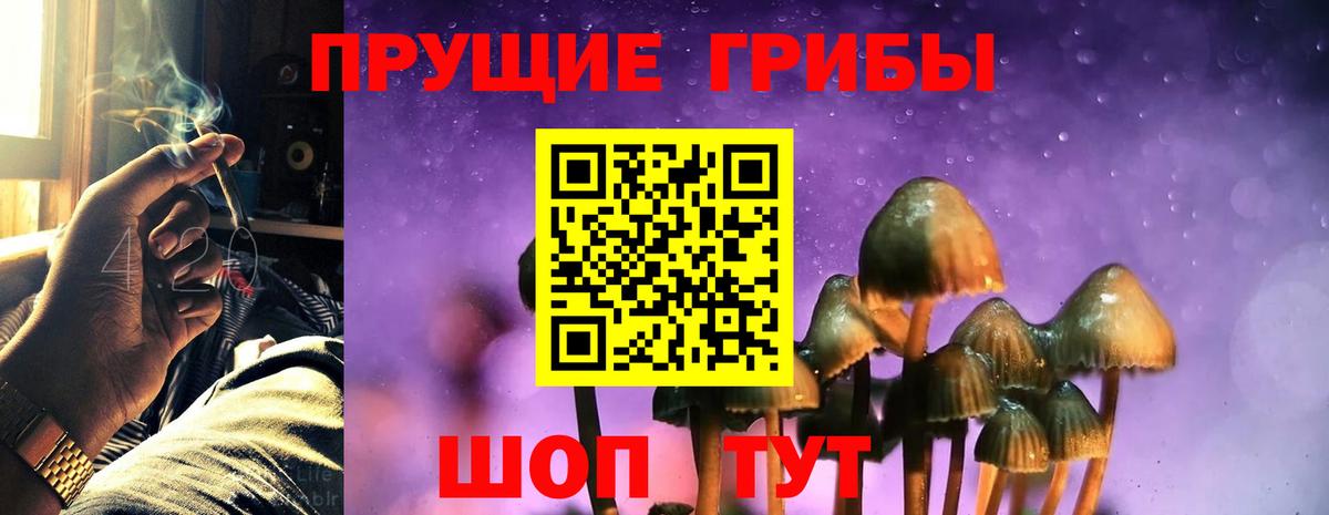 Псилоцибиновые грибы мухоморы  Вход с VPN  Шебекино 