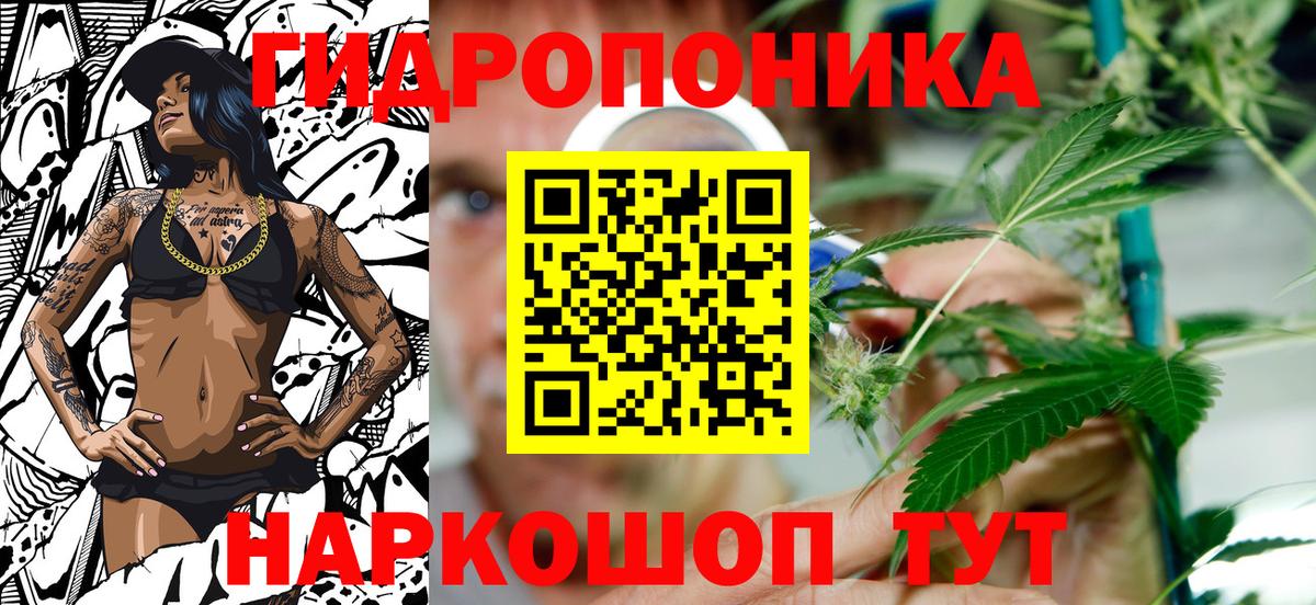 Бошки марихуана планчик Шебекино